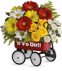 Baby's Wow Wagon - Girl from Richardson's Flowers in Medford, NJ